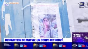 Disparition de Maeva: le corps de la jeune femme retrouvé dans le secteur portuaire du Havre