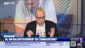Culture IA : Un ralentissement de l'innovation ?, par Anthony Morel - 26/11