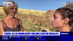 Cruis: des écologistes se mobilisent encore contre Boralex