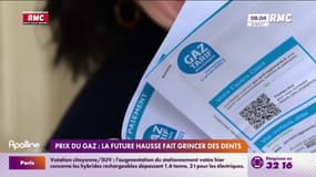 Prix du gaz : la future hausse fait grincer des dents