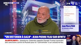 "Les faits parlent et les faits, eux, sont terribles": Jean-Pierre Filiu, historien auteur de "Un historien à Gaza", témoigne