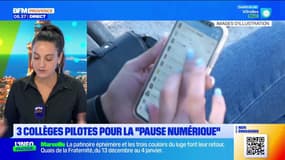 Trois collèges pilotes pour la " pause numérique " 