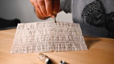 Découverte "hyper rare", un message militaire allemand sans doute perdu par un pigeon voyageur en 1910