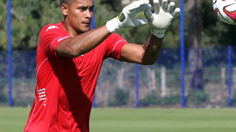 Alphonse Areola