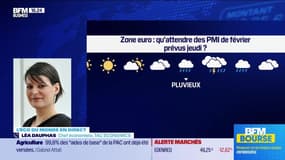 L'éco du monde : zone euro, qu'attendre des PMI de février prévus jeudi ? - 21/02