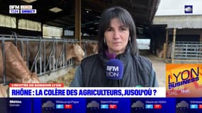 Gabriel Attal dans le Rhône:"ça ne suffit pas, il nous faut des vrais actes", pour Élise Michallet