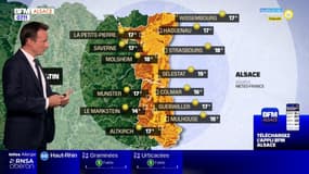 Météo Alsace: une journée très ensoleillée avec des températures élevées