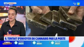 Marseille Story. Il tentait d'envoyer du cannabis par la poste