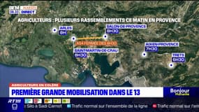 Colère des agriculteurs: première grande mobilisation dans les Bouches-du-Rhône