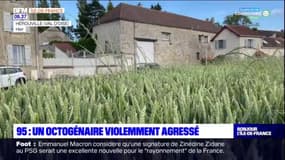 Val-d'Oise: un octogénaire violemment agressé à Hérouville, les habitants choqués