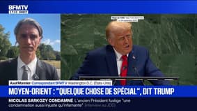Guerre à Gaza: que contient le "plan Trump en 21 points", qui a pour but de mettre fin au conflit israélo-palestinien?