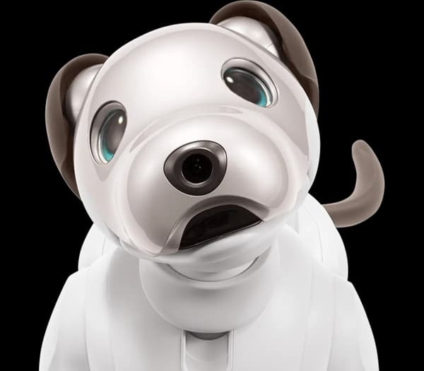 Aibo, le robot chien de Sony dans sa dernière version
