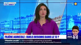 C votre emploi du mercredi 1er mars 2023 - Filière agricole : quels besoins dans le 13 ?