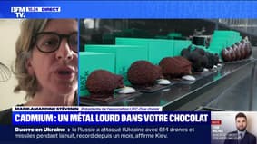 Cadmium: un lourd métal dans votre chocolat - 21/08