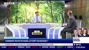 Partageons nos valeurs: Comment investir dans la forêt en Bourse ? - 07/11