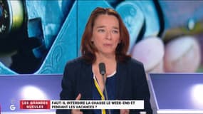#Chasse - "Beaucoup de chasseurs tirent sur les chats parce qu'ils ne les aiment pas. Ce sont des choses inadmissibles! " @marieannesoubre #GGRMC