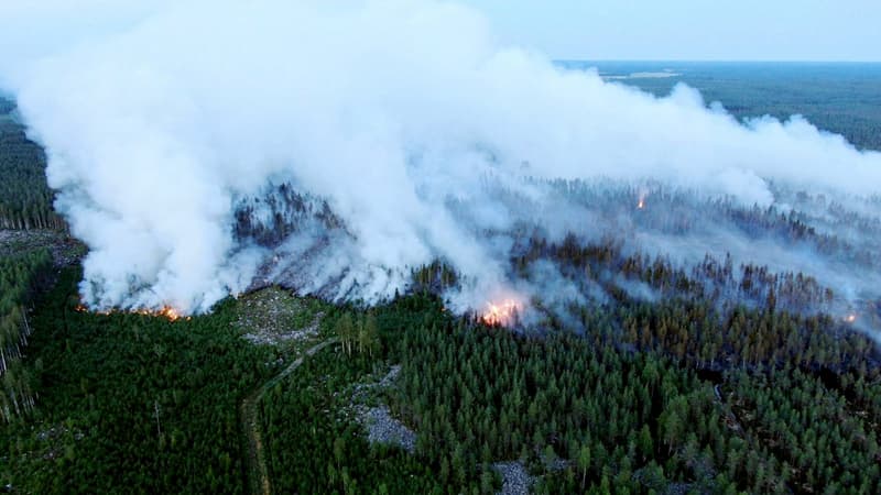 Un vaste feu de forêt a ravagé plus de 300 hectares en cinq jours dans une vallée au sud du petit port de Kalajoki, au nord-ouest de la Finlande.