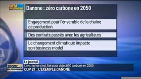 COP 21 : L'exemple Danone 