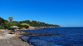 Sainte-Maxime - Avenue de Général Leclerc 