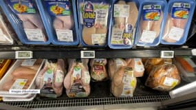 Face une pénurie de viande de canard, le gouvernement autorise à la remplacer par du poulet