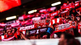 Les supporteurs de Benfica brandissent leurs écharpes à l'Estadio da Luz, 11 avril 2024