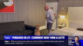 Comment New York a lutté contre les punaises de lit