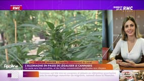 Janvier : "Que l'Etat reprenne la main avec une légalisation encadrée"