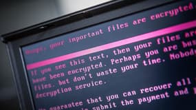 Des pirates informatiques ont attaqué la société Bolloré avec un rançongiciel pour dérober les données stockés sur les serveurs de l'entreprise française.