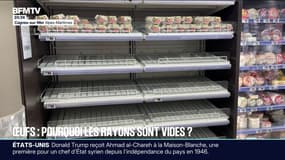 Pourquoi les œufs manquent dans les rayons ?