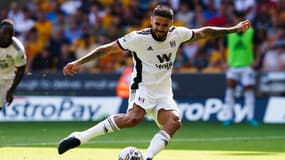 Aleksandar Mitrovic.