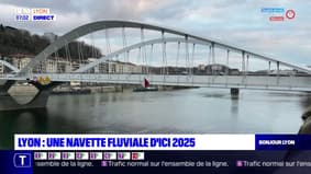 Lyon: une navette fluviale mise en place d'ici 2025 sur la Saône