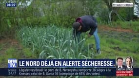 Le département du Nord est déjà en alerte sécheresse