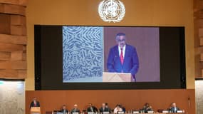 Tedros Adhanom Ghebreyesus, directeur général de l'OMS, le 22 mai 2022 à Genève