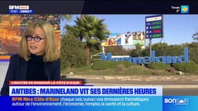 Marineland: One Voice inquiète à 48 heures de la fermeture