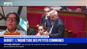 "C'est le flou qui entoure le budget qui nous inquiète", confie Bertrand Hauchecorne, maire de Mareau-au-Près, dans le Loiret