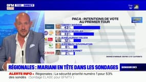 Régionales Provence-Alpes-Côte d'Azur: Mariani en tête dans les sondages