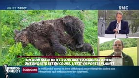 Ours abattu: "La ministre doit annoncer que l'ours sera remplacé, conformément à leurs engagements"