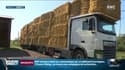 Sécheresse: le gouvernement débloque un milliard d'euros pour sauver les agriculteurs