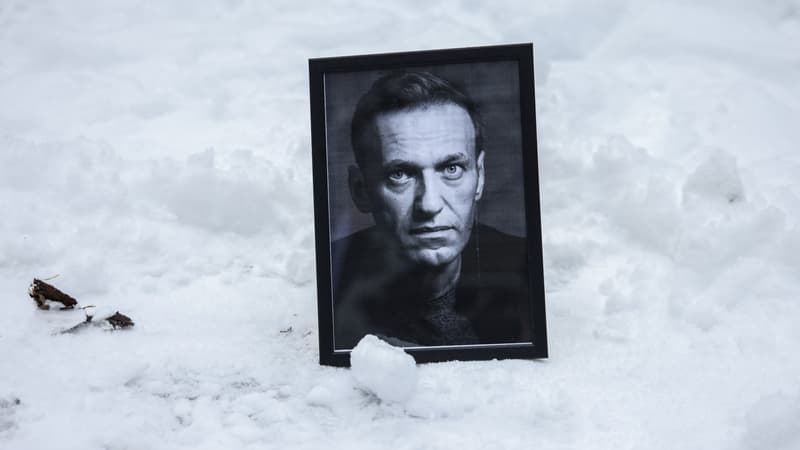 Mort d'Alexeï Navalny: des spécialistes estiment que la toxine responsable du décès de l'opposant russe a été conçue en laboratoire
