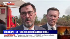 "Más de 320 bomberos y 120 vehículos" implicados en el incendio del bosque de Brocéliande
