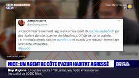 Nice: un agent du bailleur social Côte d'Azur Habitat agressé au quartier des Moulins