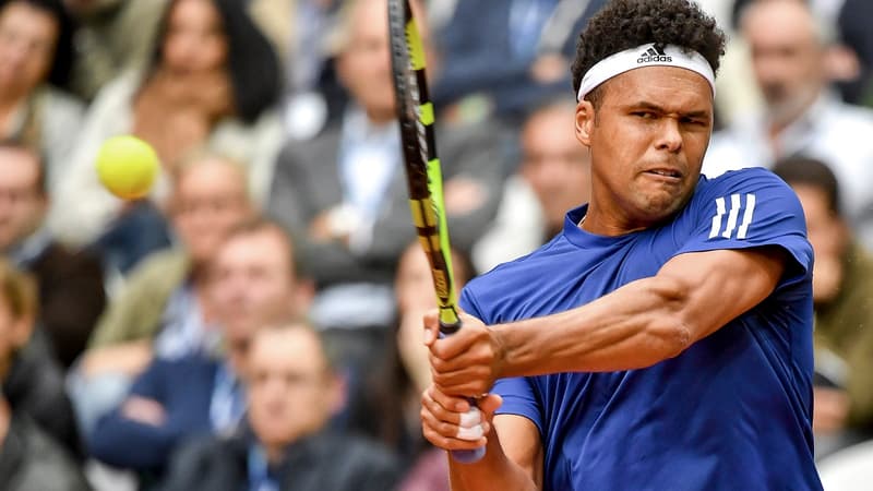 Jo-Wilfried Tsonga (France)