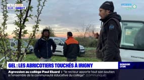 Gel : les abricotiers touchés à Irigny
