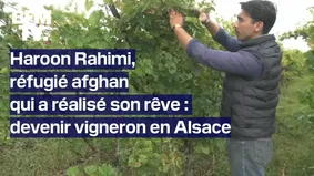 "J'avais cette passion qui était un peu endormie depuis l'Afghanistan":réfugié, il devient vigneron en Alsace