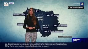 Météo Île-de-France: un lundi gris et froid