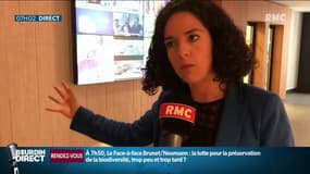 Elections européennes: qui propose quoi en matière d'écologie?