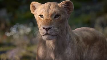Nala dans Le Roi Lion (2019).