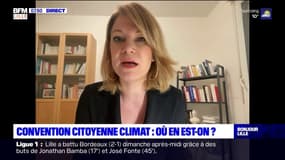 Les propositions de la convention citoyenne sur le climat édulcorées? La députée Valérie Petit défend "le principe de réalité"