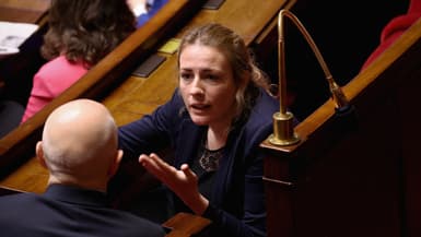 La députée écologiste Marie Pochon à l'Assemblée nationale le 4 avril 2024 