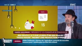 Etes-vous prêts à payer 1 euro l'oeuf... pour le bien-être des poules?